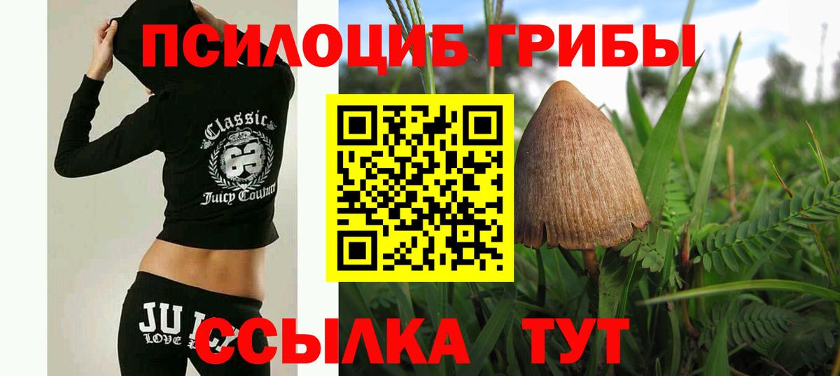 Галлюциногенные грибы MAGIC MUSHROOMS  Галлюциногенные грибы прущие грибы  Воткинск  Вход с VPN 